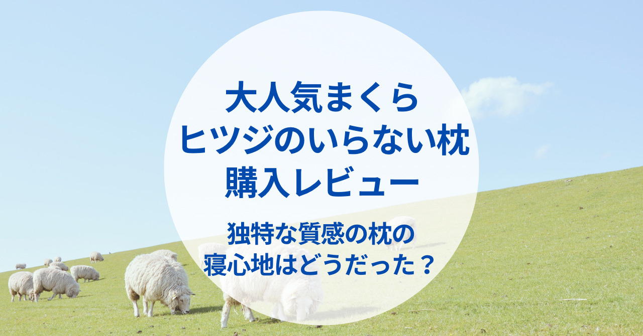 レビュー】ヒツジのいらない枕が快適な睡眠の秘訣だった？購入して試し